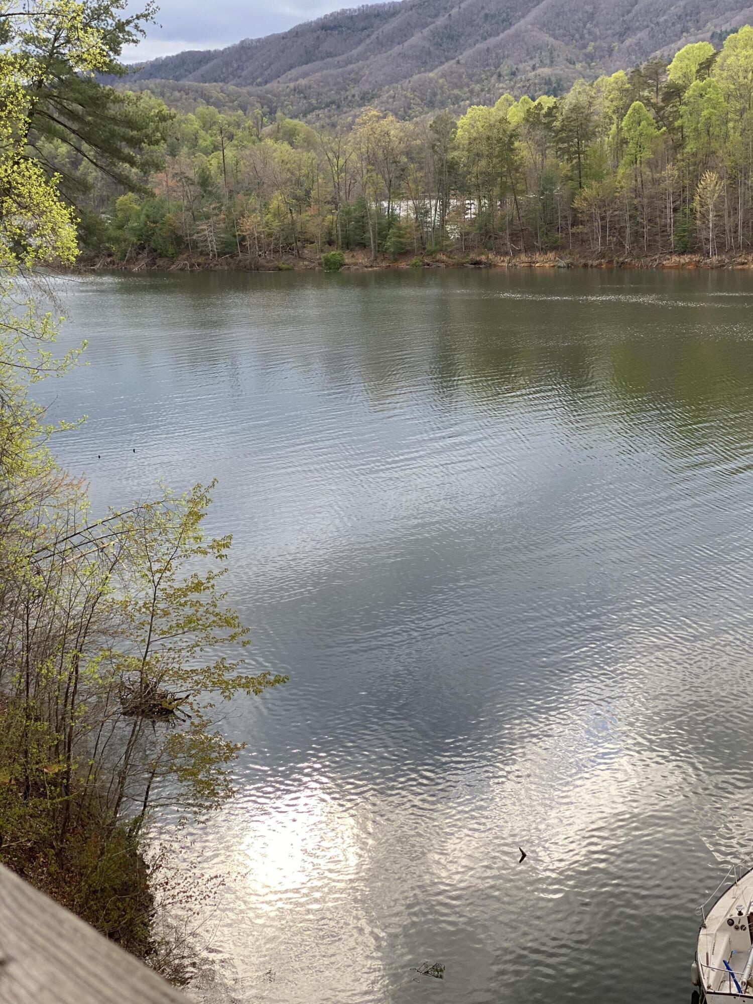 Two Coves Edge Drive, Butler, Tennessee image 28