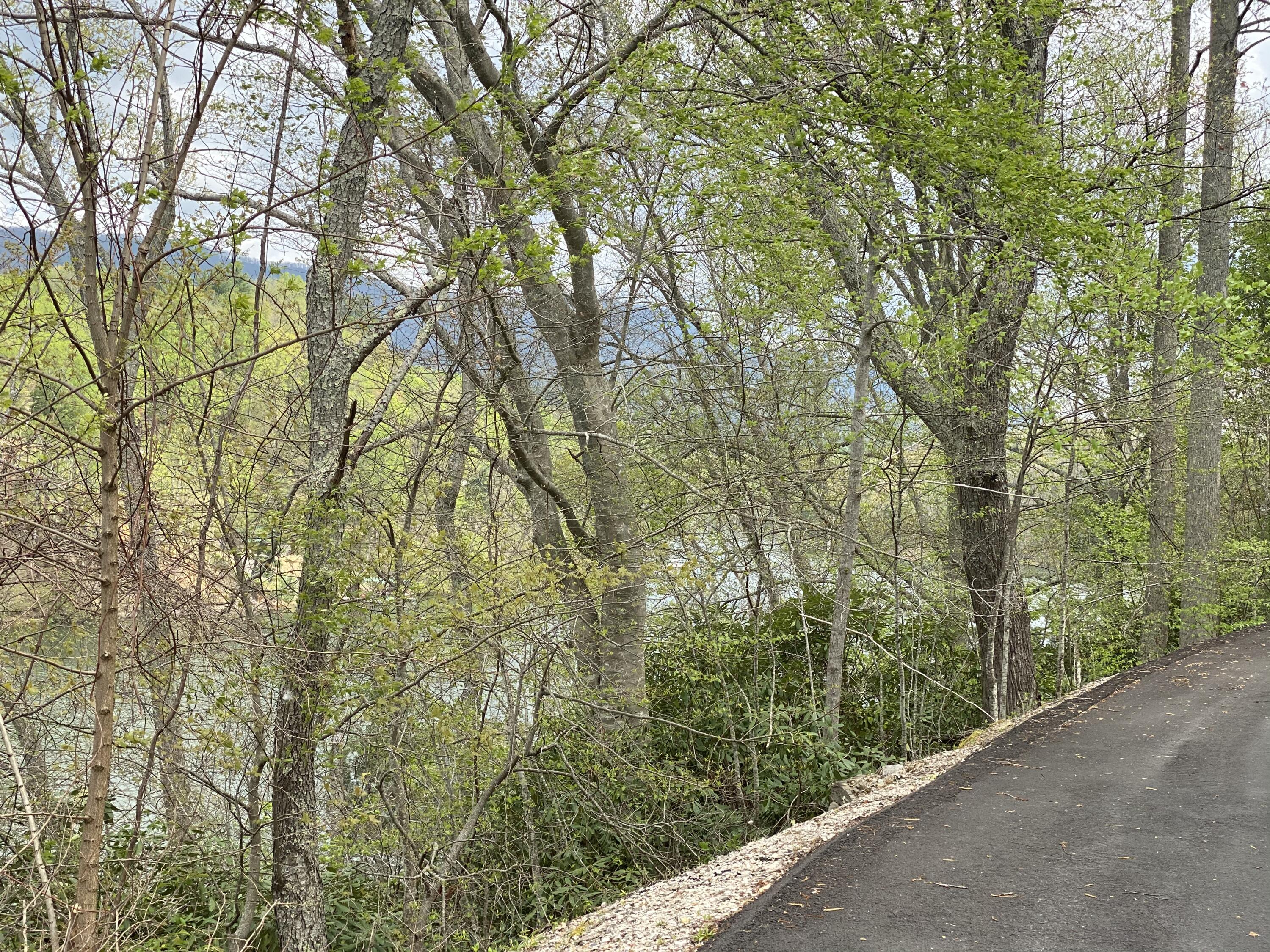 Two Coves Edge Drive, Butler, Tennessee image 20