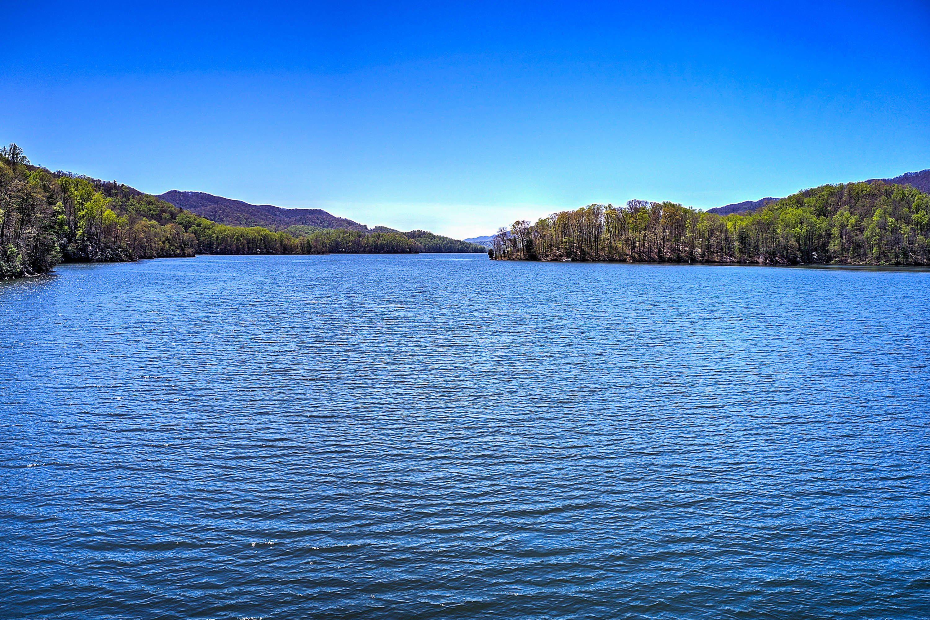 Two Coves Edge Drive, Butler, Tennessee image 14