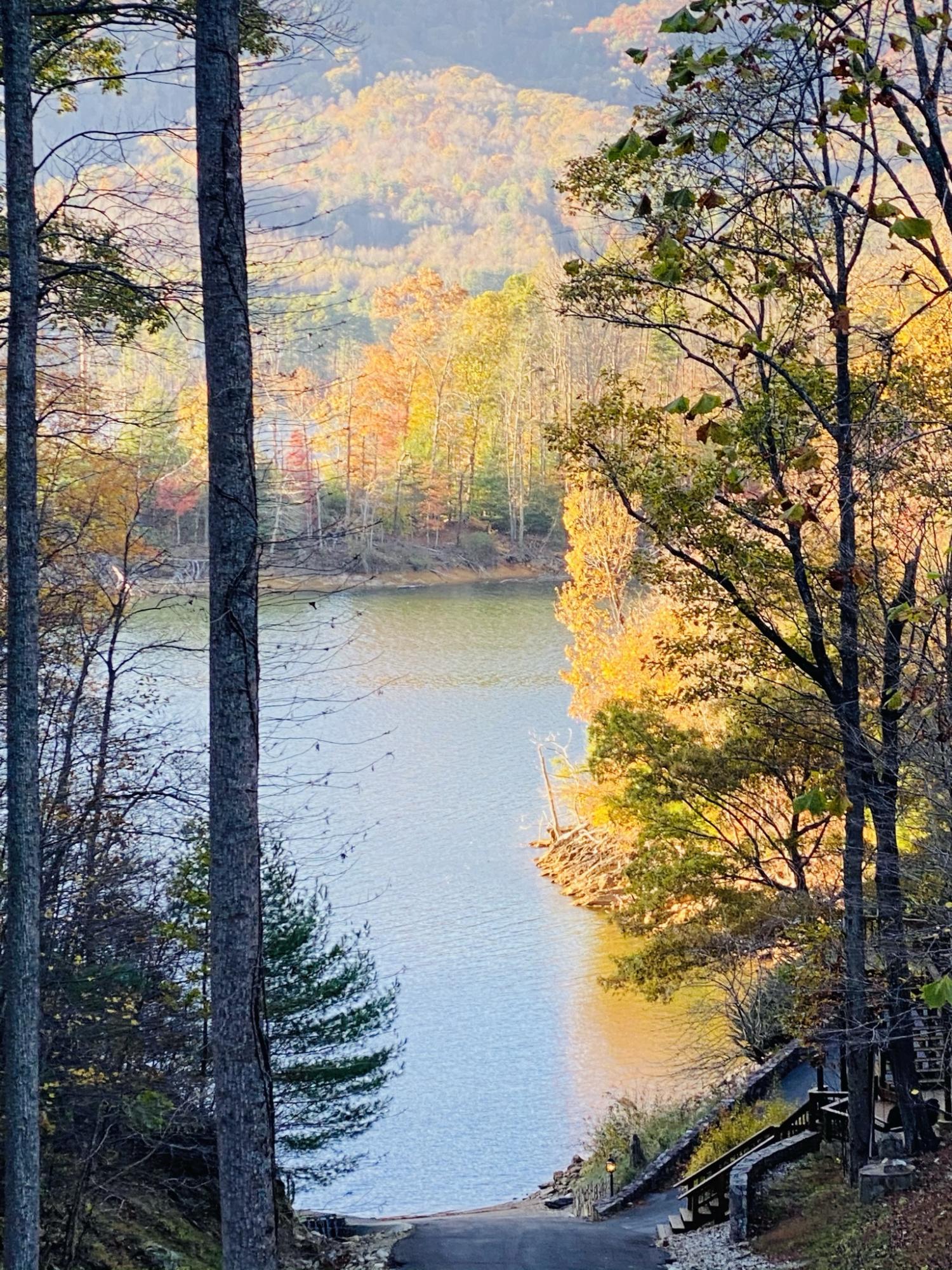 Two Coves Edge Drive, Butler, Tennessee image 40