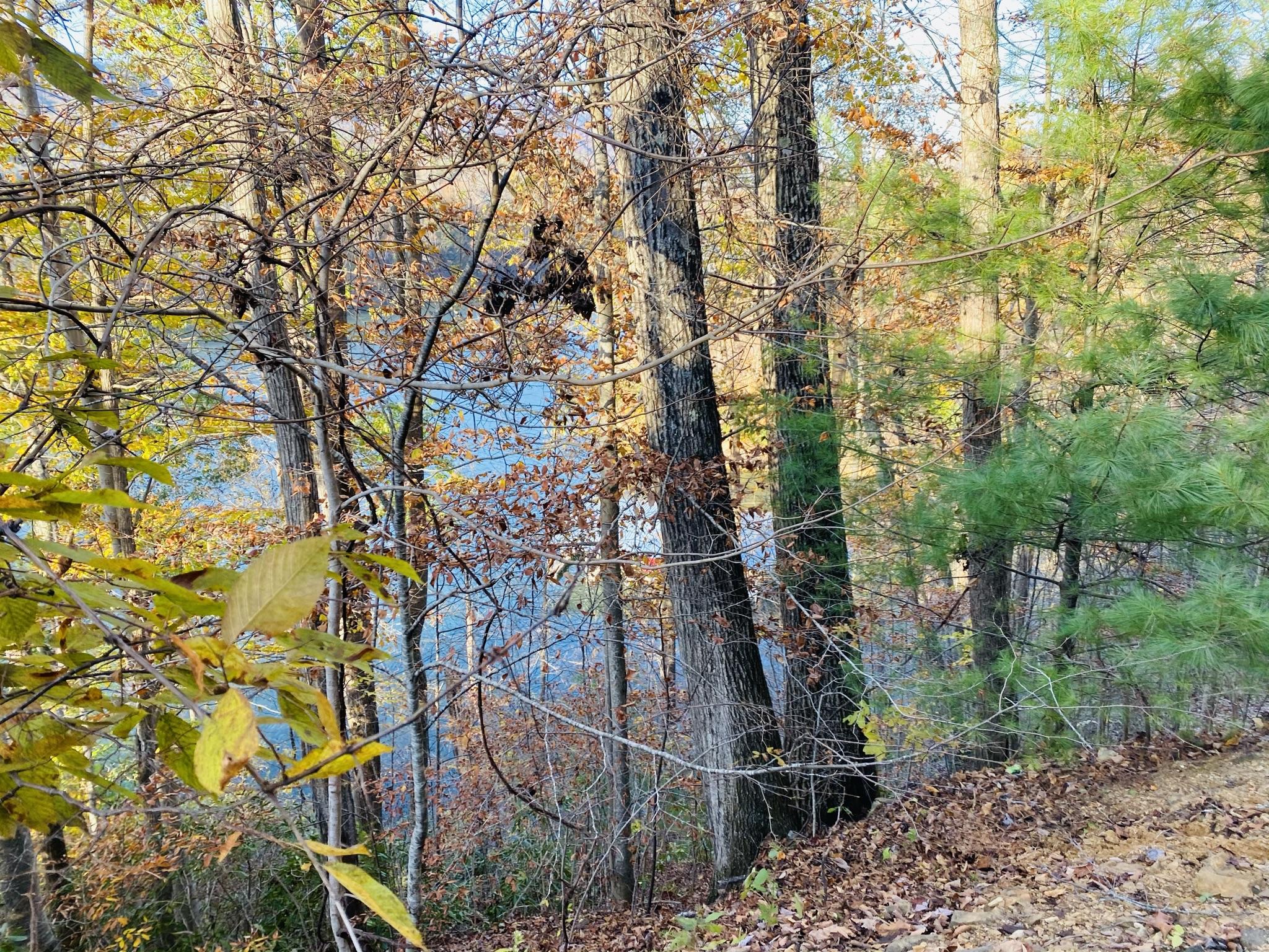 Two Coves Edge Drive, Butler, Tennessee image 38