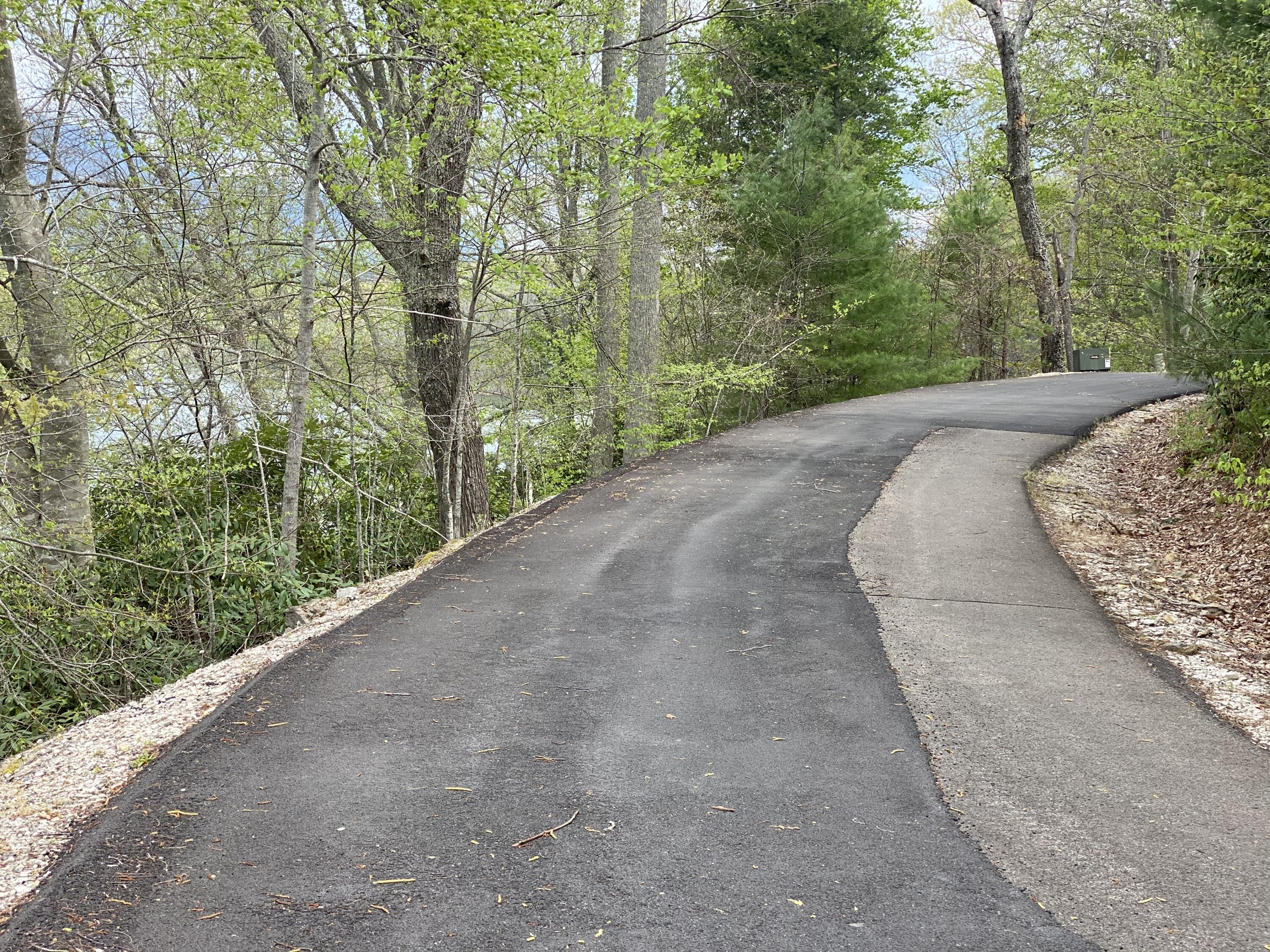 Two Coves Edge Drive, Butler, Tennessee image 23
