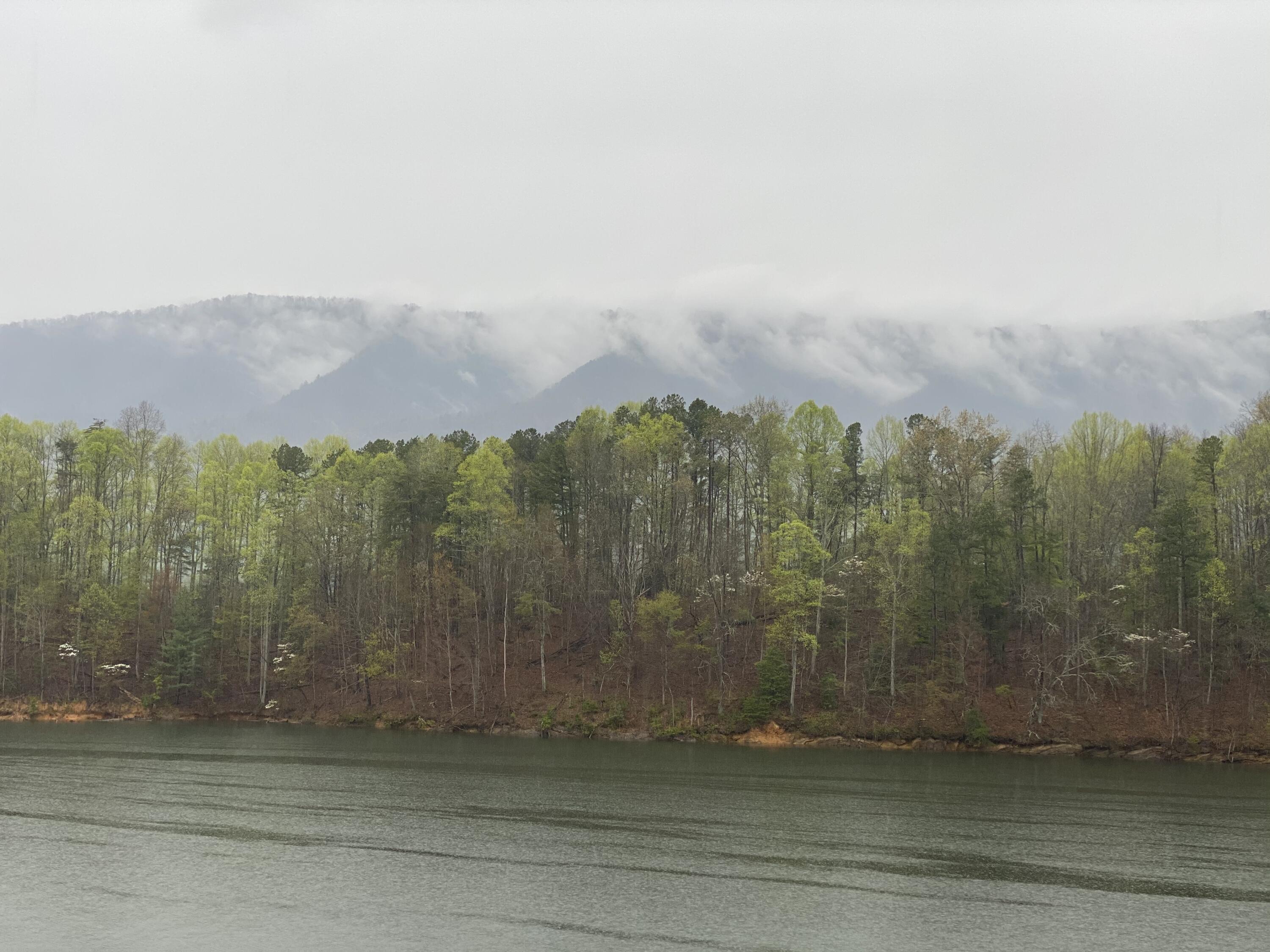 Two Coves Edge Drive, Butler, Tennessee image 34