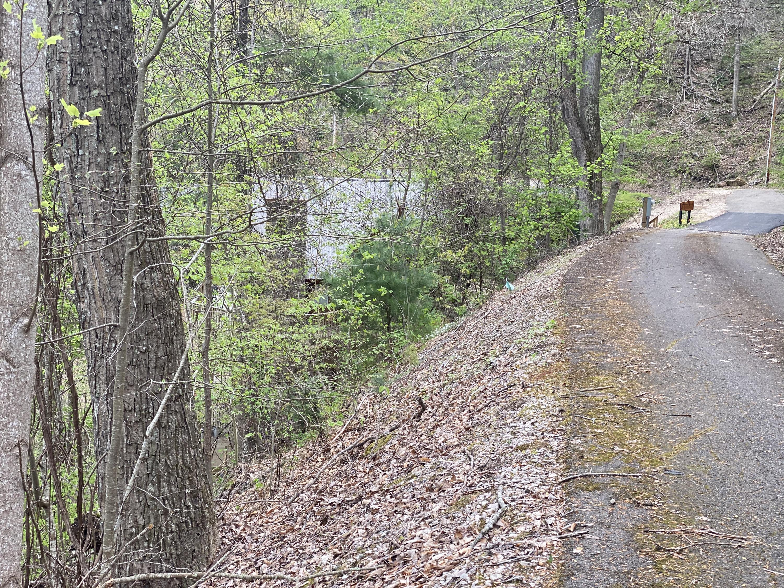 Two Coves Edge Drive, Butler, Tennessee image 24