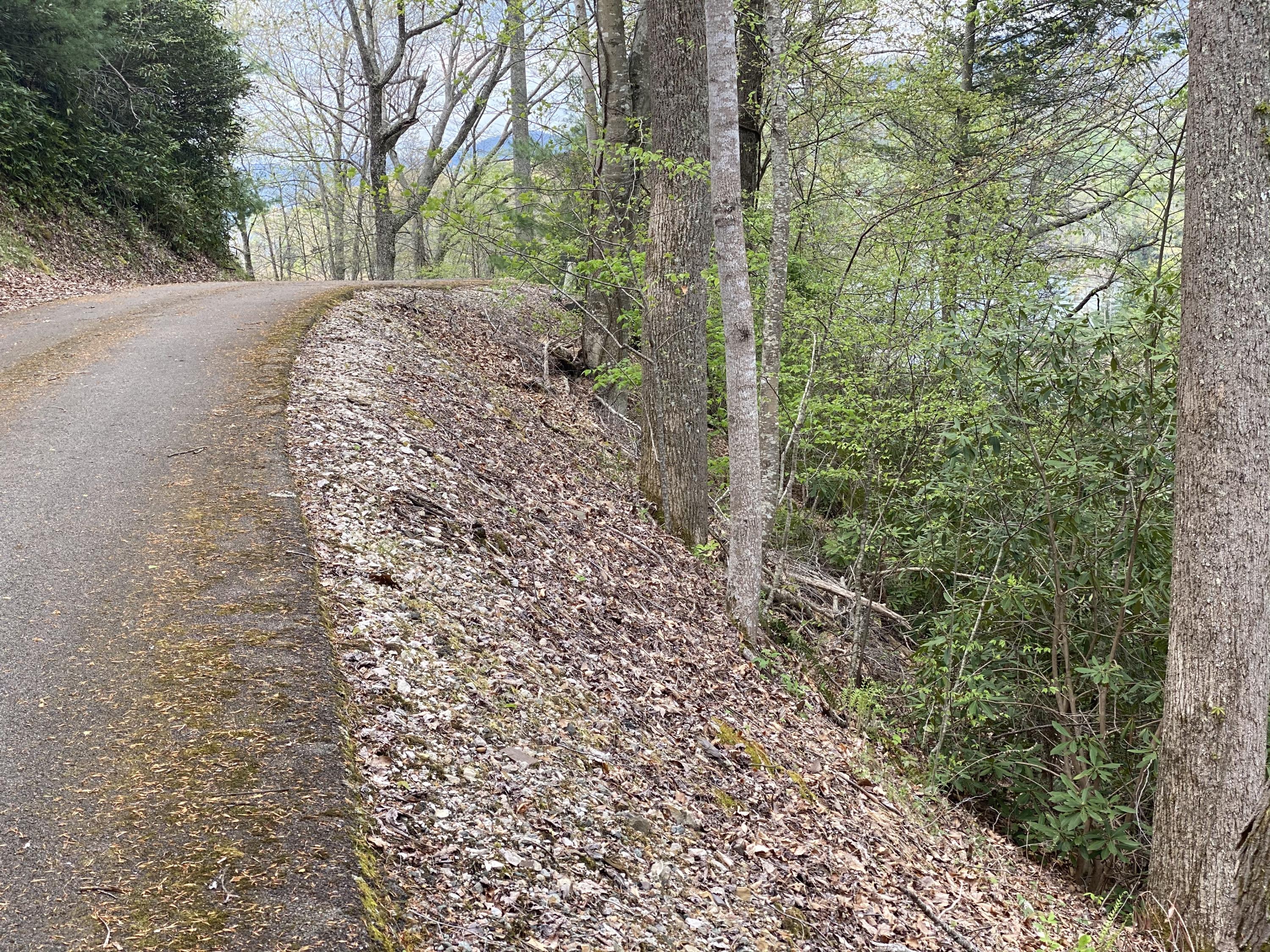 Two Coves Edge Drive, Butler, Tennessee image 26