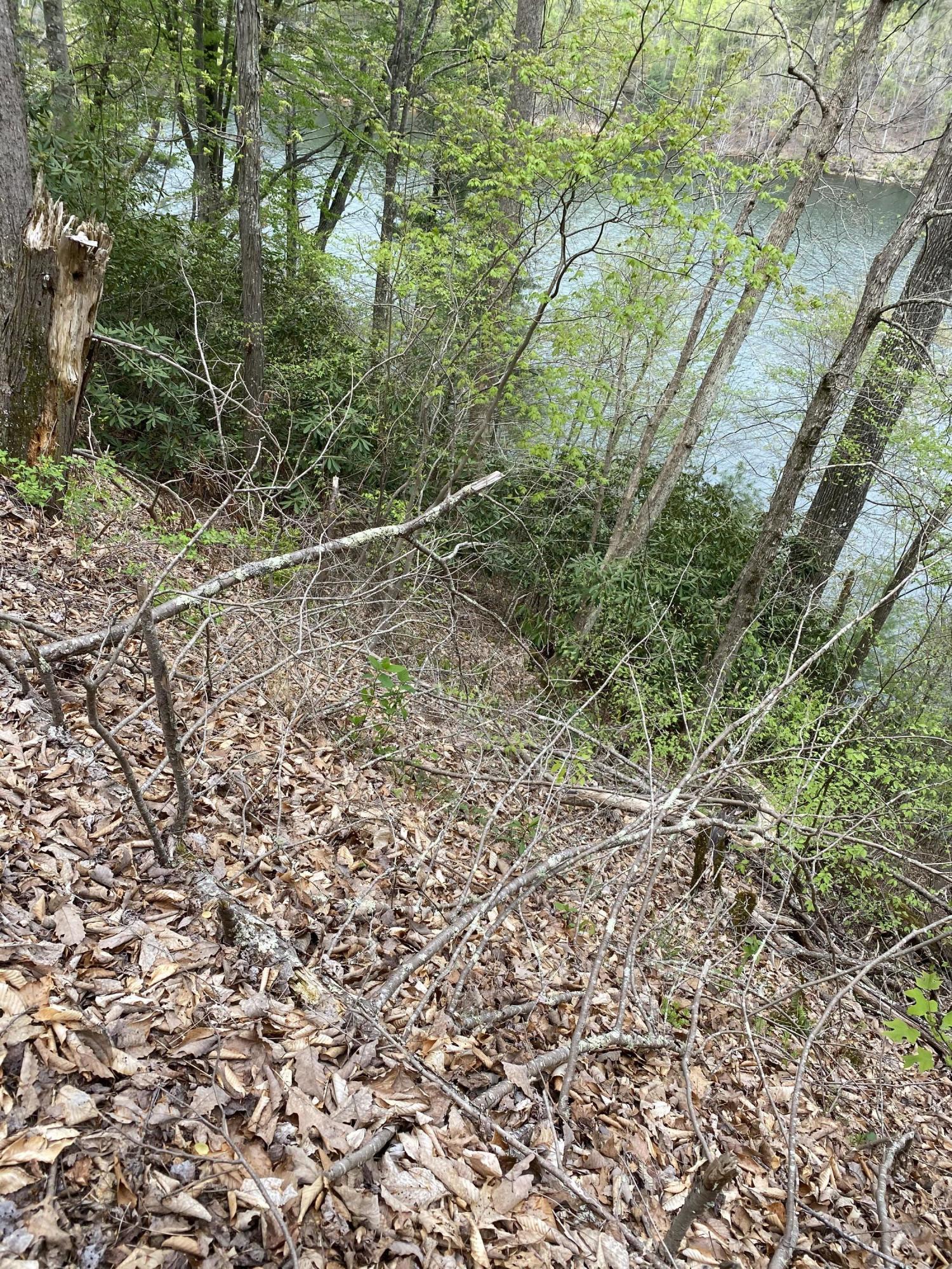 Two Coves Edge Drive, Butler, Tennessee image 25