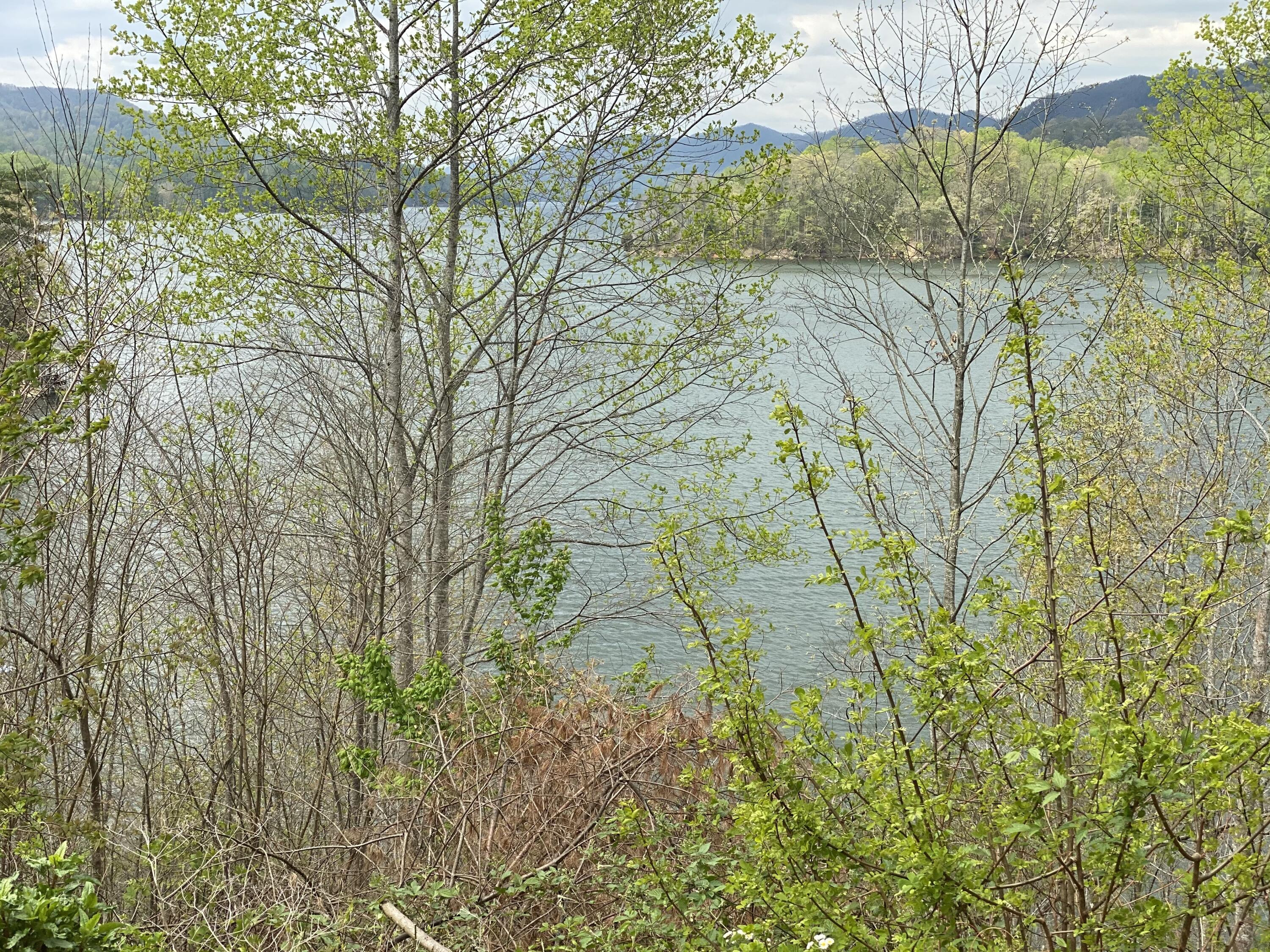 Two Coves Edge Drive, Butler, Tennessee image 22