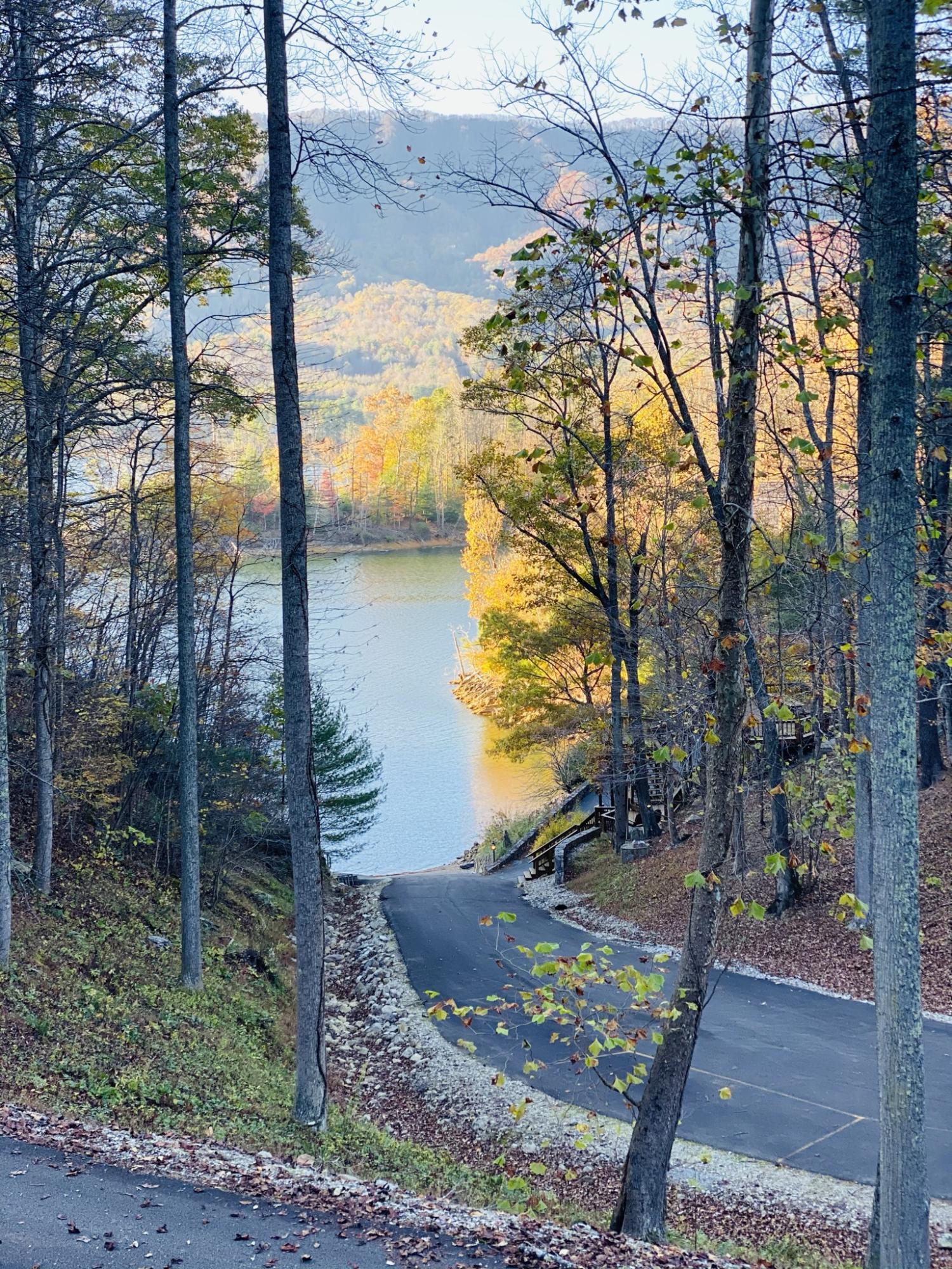 Two Coves Edge Drive, Butler, Tennessee image 39