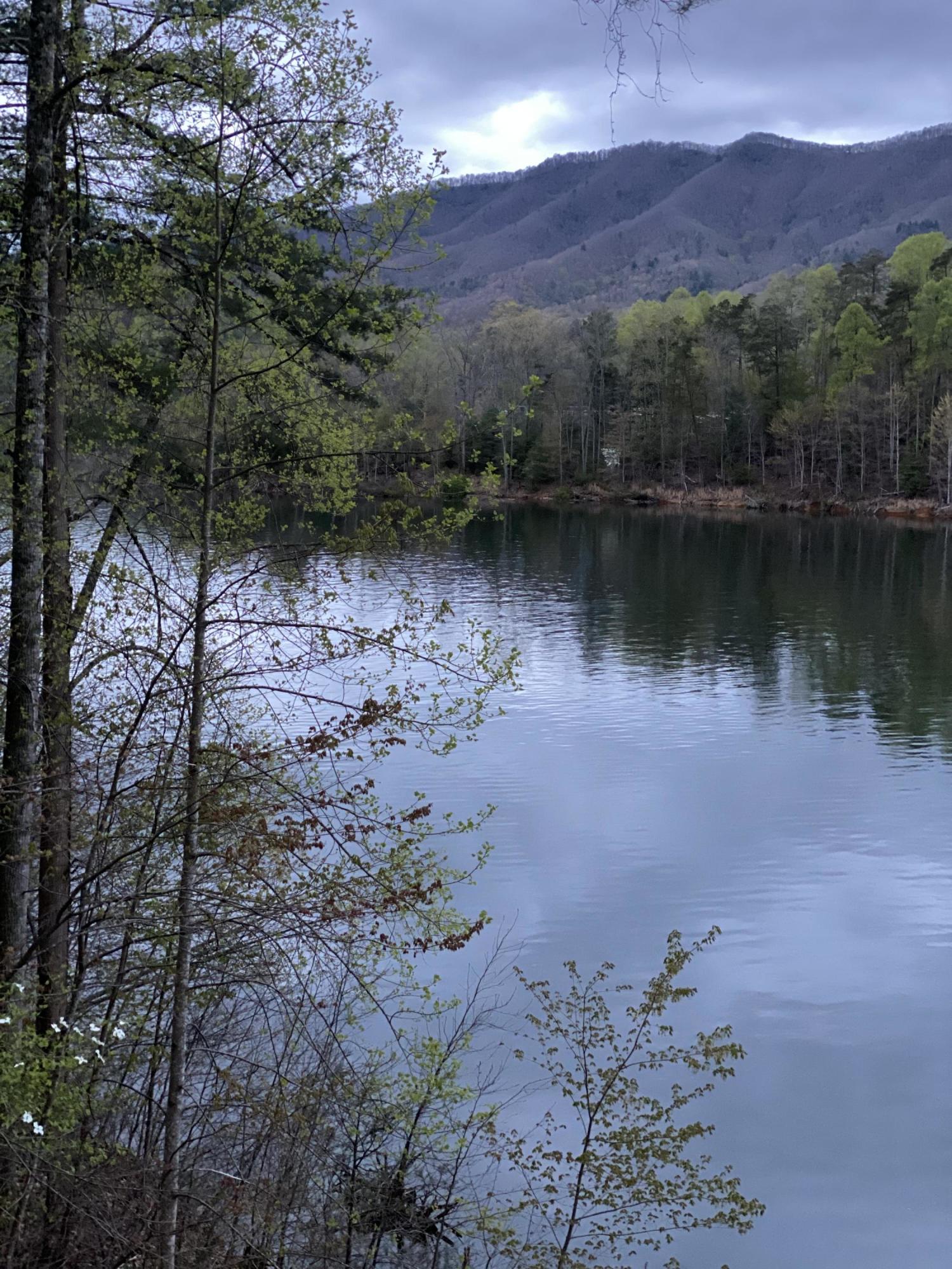 Two Coves Edge Drive, Butler, Tennessee image 27