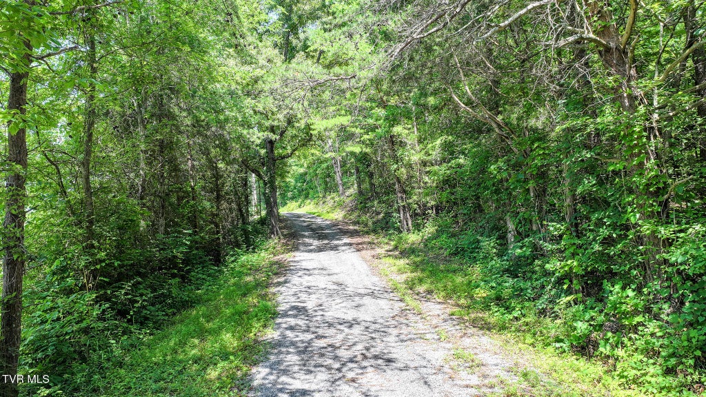 Photo of 563 Hillcrest Street, Greeneville, TN 37743 (MLS # 9997775)