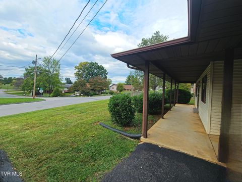 Tiny photo for 3001 Newbern Drive, Johnson City, TN 37604 (MLS # 9986421)