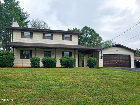 Tiny photo for 3001 Newbern Drive, Johnson City, TN 37604 (MLS # 9986421)