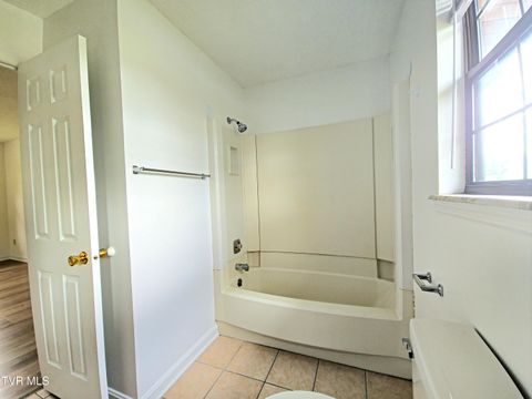 Tiny photo for 3001 Newbern Drive, Johnson City, TN 37604 (MLS # 9986421)