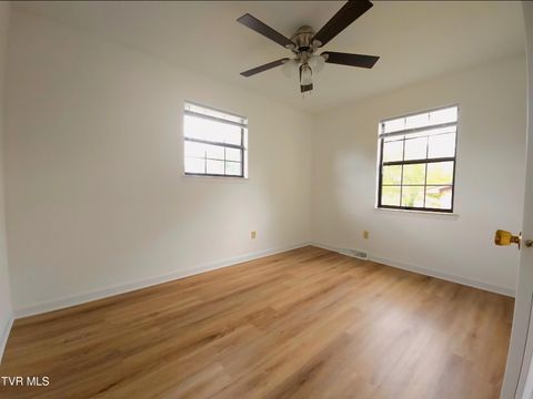 Tiny photo for 3001 Newbern Drive, Johnson City, TN 37604 (MLS # 9986421)