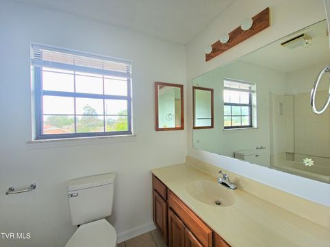 Tiny photo for 3001 Newbern Drive, Johnson City, TN 37604 (MLS # 9986421)
