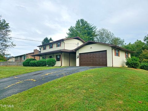 Tiny photo for 3001 Newbern Drive, Johnson City, TN 37604 (MLS # 9986421)