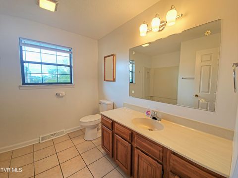 Tiny photo for 3001 Newbern Drive, Johnson City, TN 37604 (MLS # 9986421)