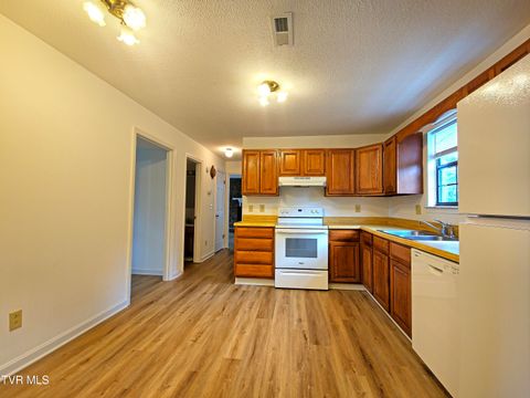 Tiny photo for 3001 Newbern Drive, Johnson City, TN 37604 (MLS # 9986421)