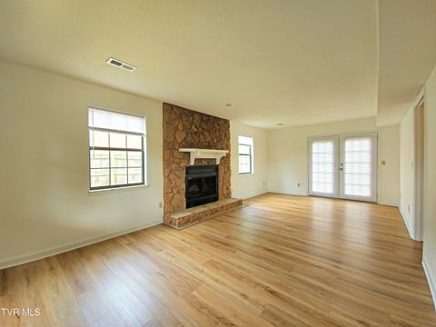 Tiny photo for 3001 Newbern Drive, Johnson City, TN 37604 (MLS # 9986421)