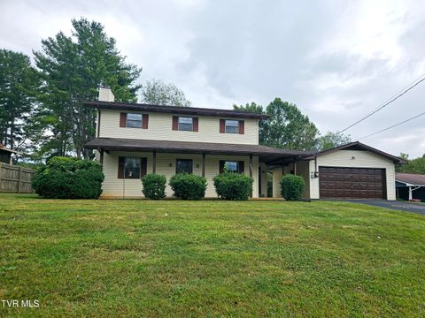 Tiny photo for 3001 Newbern Drive, Johnson City, TN 37604 (MLS # 9986421)
