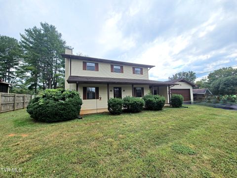 Tiny photo for 3001 Newbern Drive, Johnson City, TN 37604 (MLS # 9986421)
