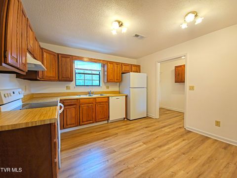 Tiny photo for 3001 Newbern Drive, Johnson City, TN 37604 (MLS # 9986421)
