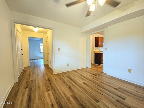 Tiny photo for 3001 Newbern Drive, Johnson City, TN 37604 (MLS # 9986421)