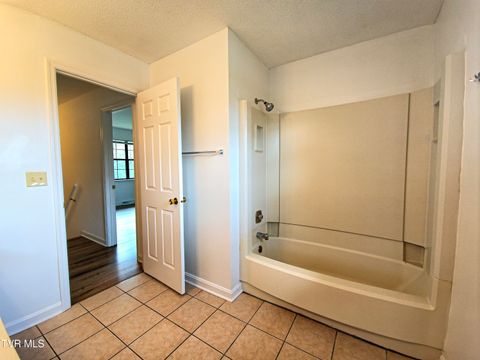 Tiny photo for 3001 Newbern Drive, Johnson City, TN 37604 (MLS # 9986421)