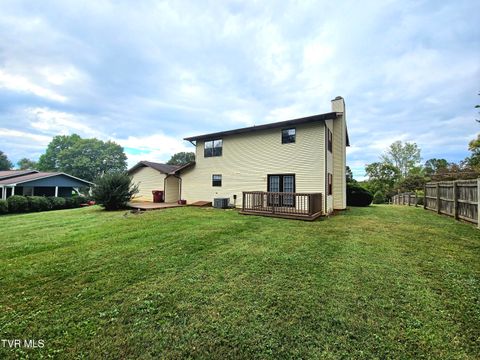 Tiny photo for 3001 Newbern Drive, Johnson City, TN 37604 (MLS # 9986421)