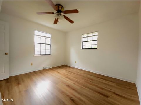 Tiny photo for 3001 Newbern Drive, Johnson City, TN 37604 (MLS # 9986421)