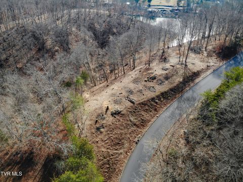 Vacant Land For Sale - 101 Pointe Drive<br/> Piney Flats, TN 37686