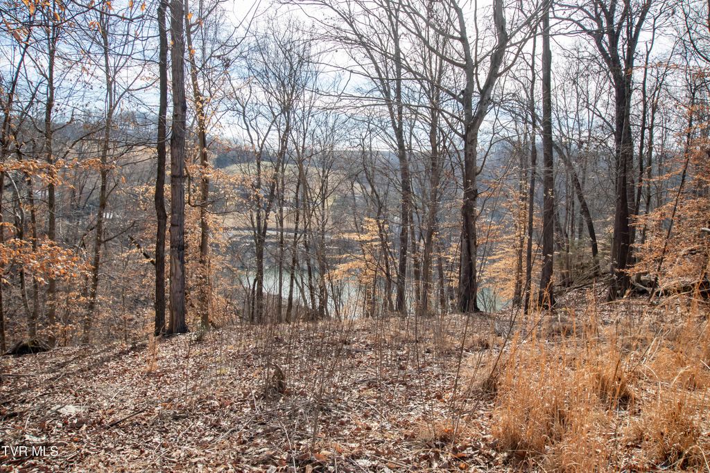 Photo of 101 Pointe Drive, Piney Flats, TN 37686 (MLS # 9991432)