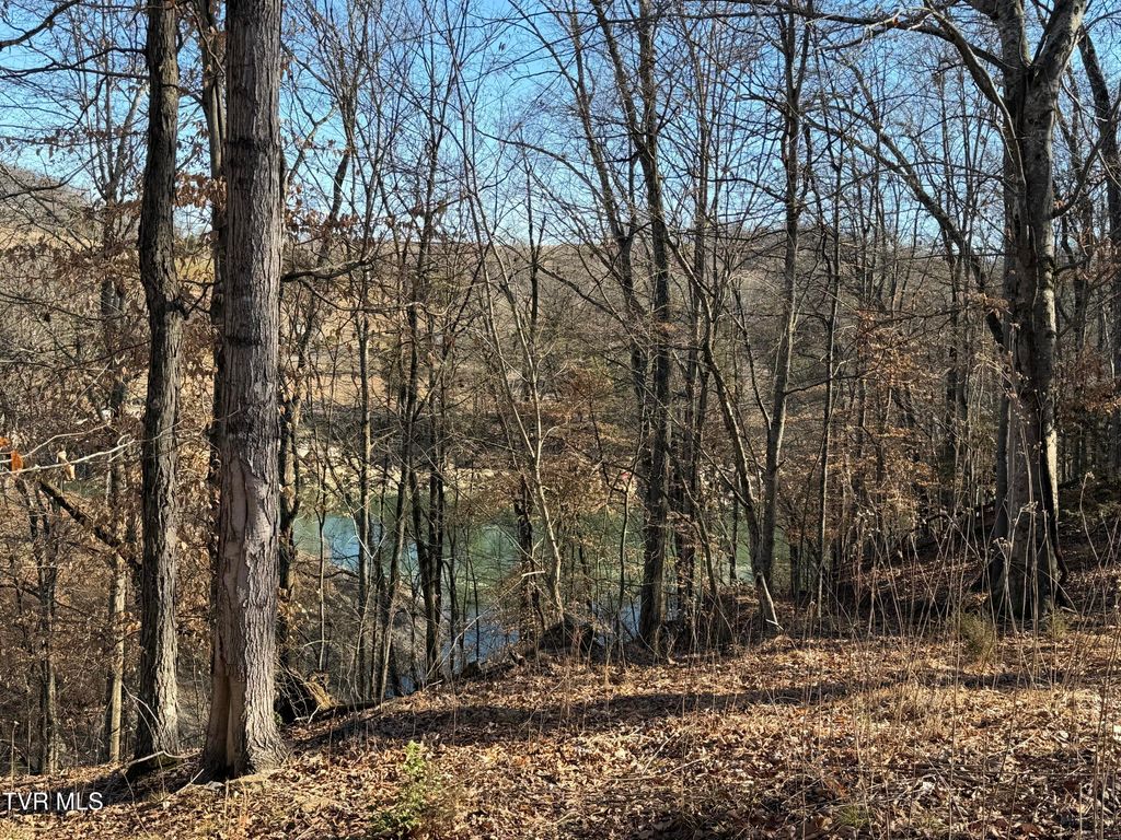 Photo of 101 Pointe Drive, Piney Flats, TN 37686 (MLS # 9991432)