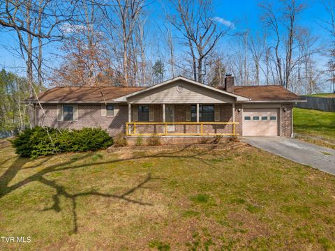 Photo of 145 Kelli Lane, Tazewell, TN 37879 (MLS # 9992933)