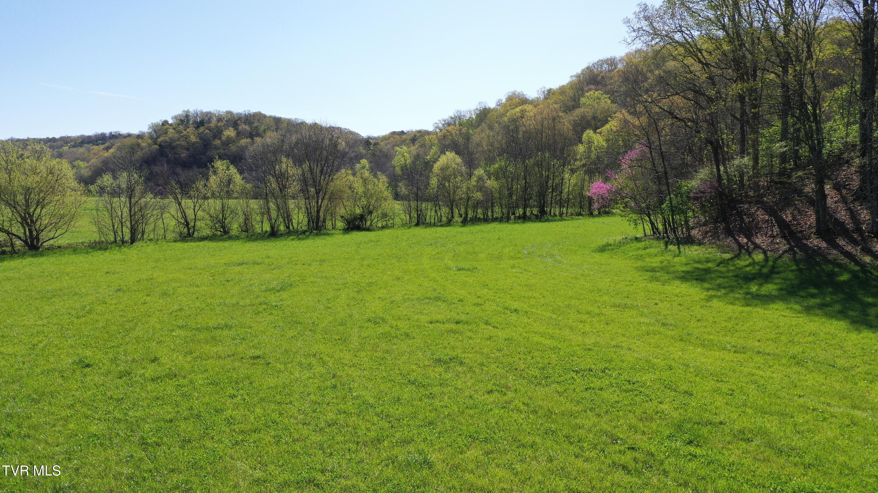 Vfw Road, Bulls Gap, Tennessee image 16