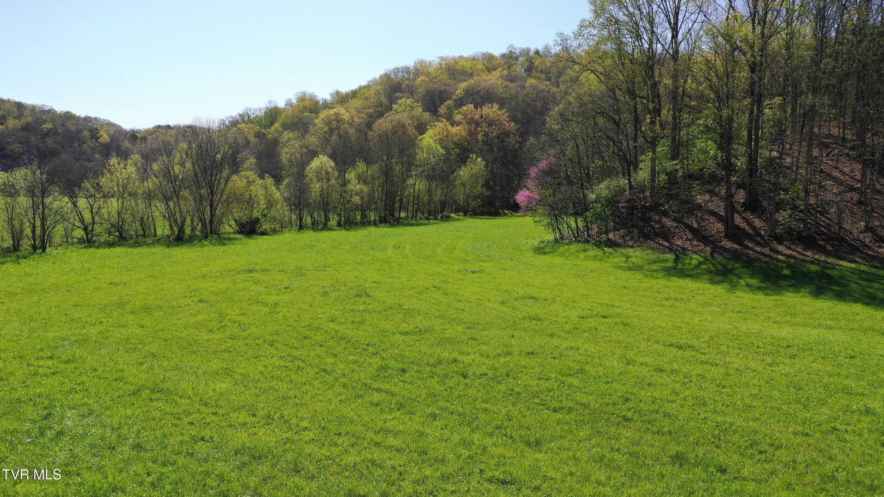 Vfw Road, Bulls Gap, Tennessee image 17