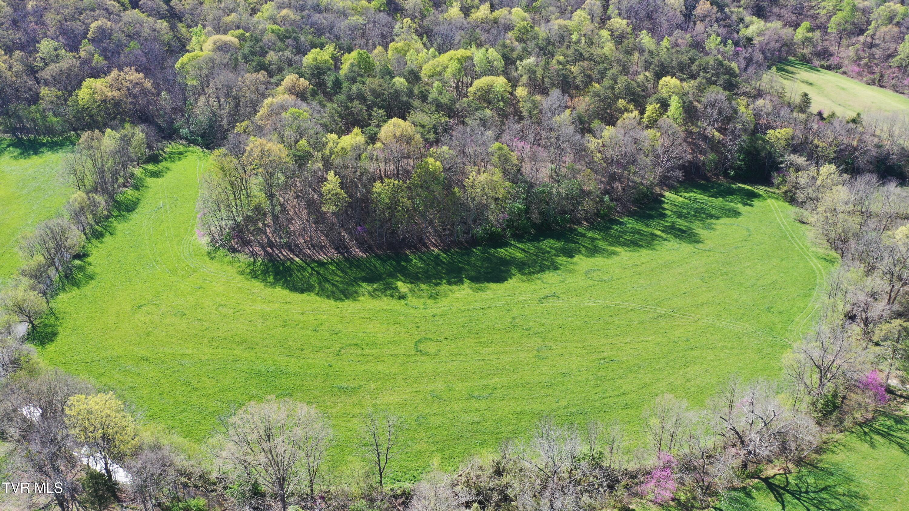 Vfw Road, Bulls Gap, Tennessee image 11