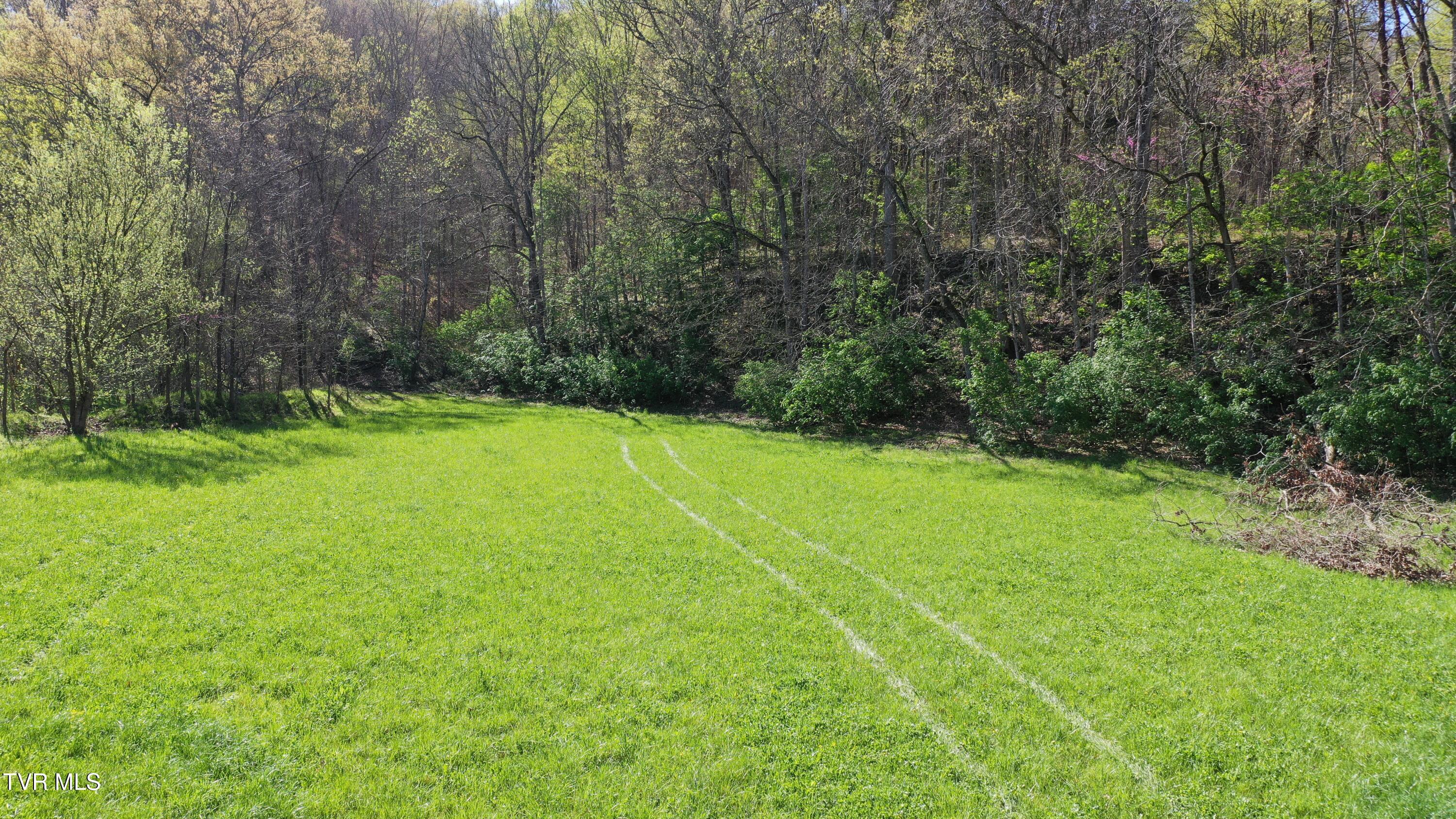 Vfw Road, Bulls Gap, Tennessee image 19