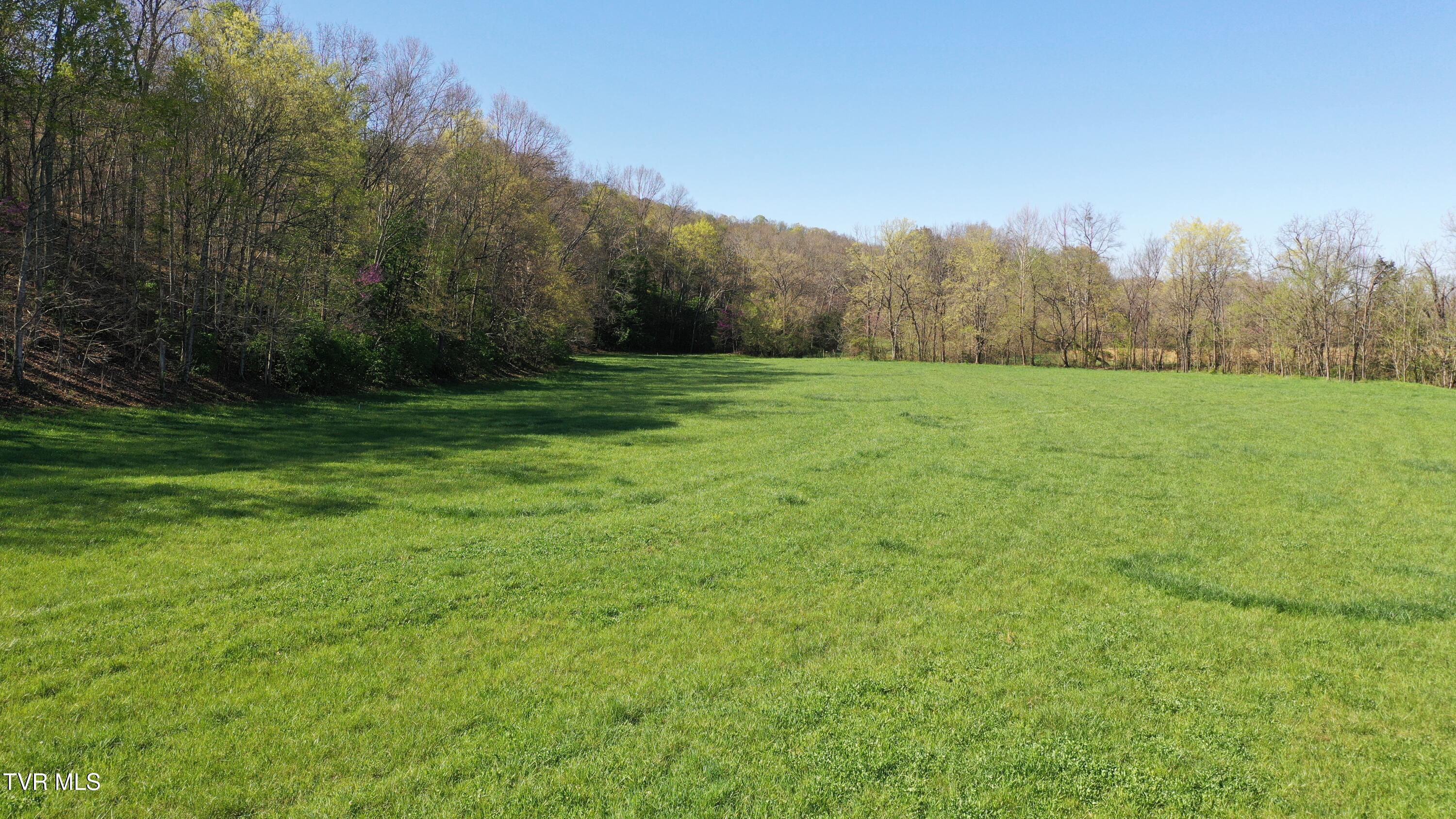 Vfw Road, Bulls Gap, Tennessee image 15