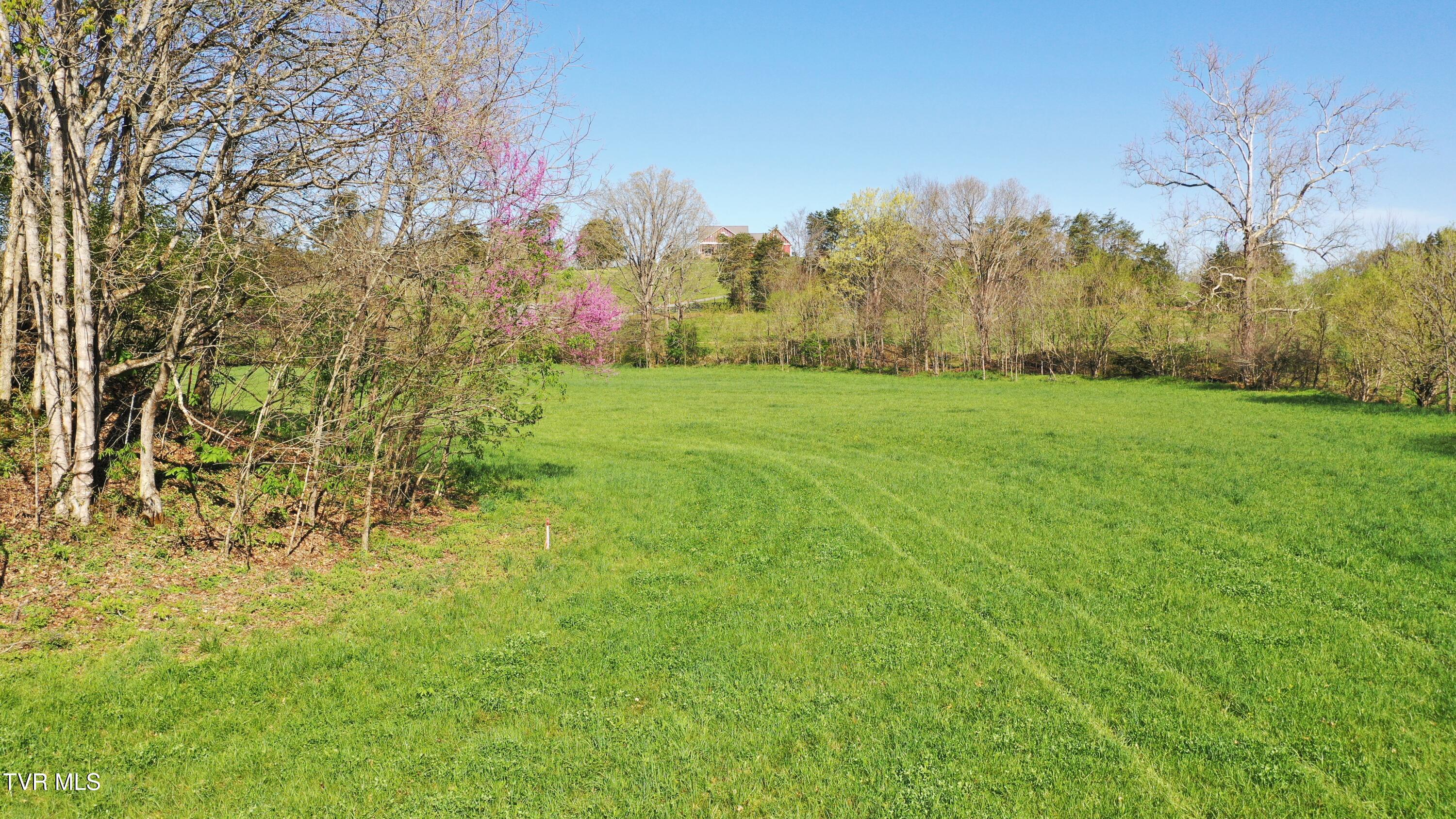 Vfw Road, Bulls Gap, Tennessee image 18