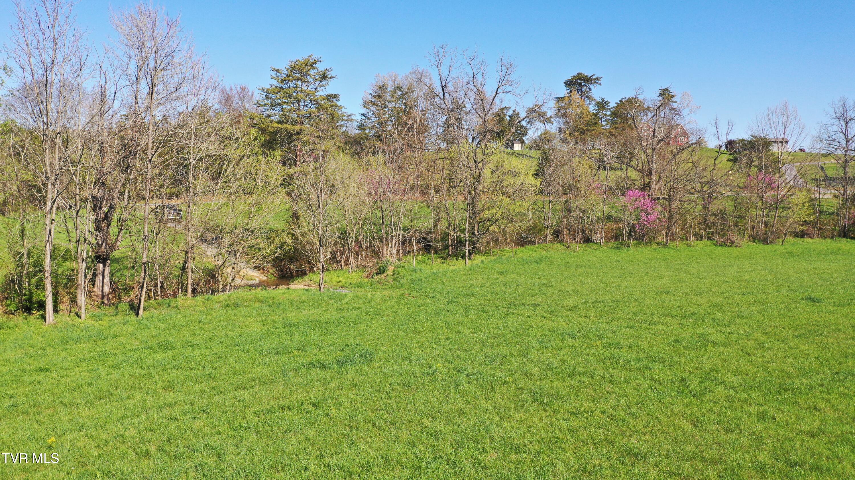Vfw Road, Bulls Gap, Tennessee image 24