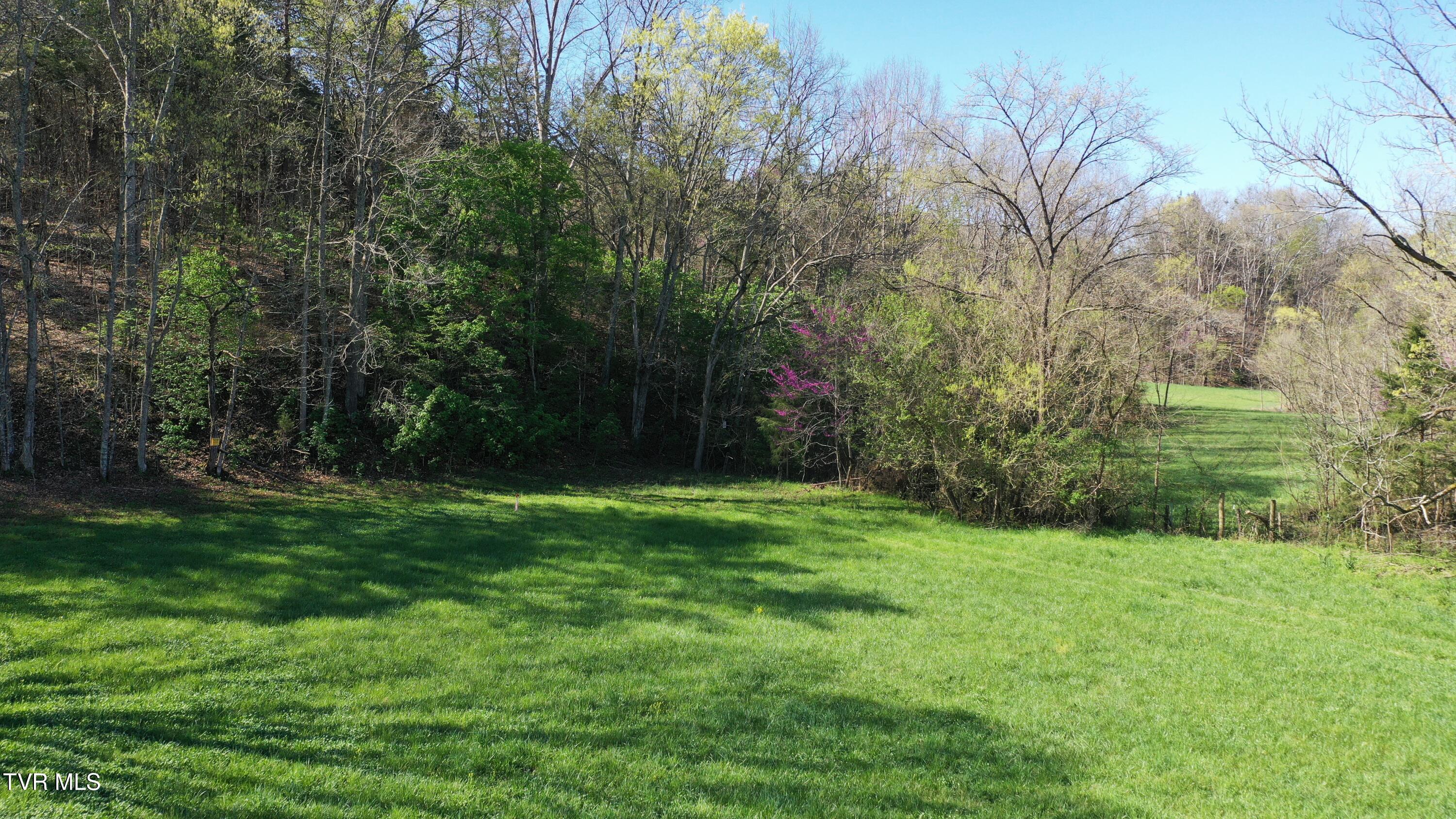 Vfw Road, Bulls Gap, Tennessee image 21