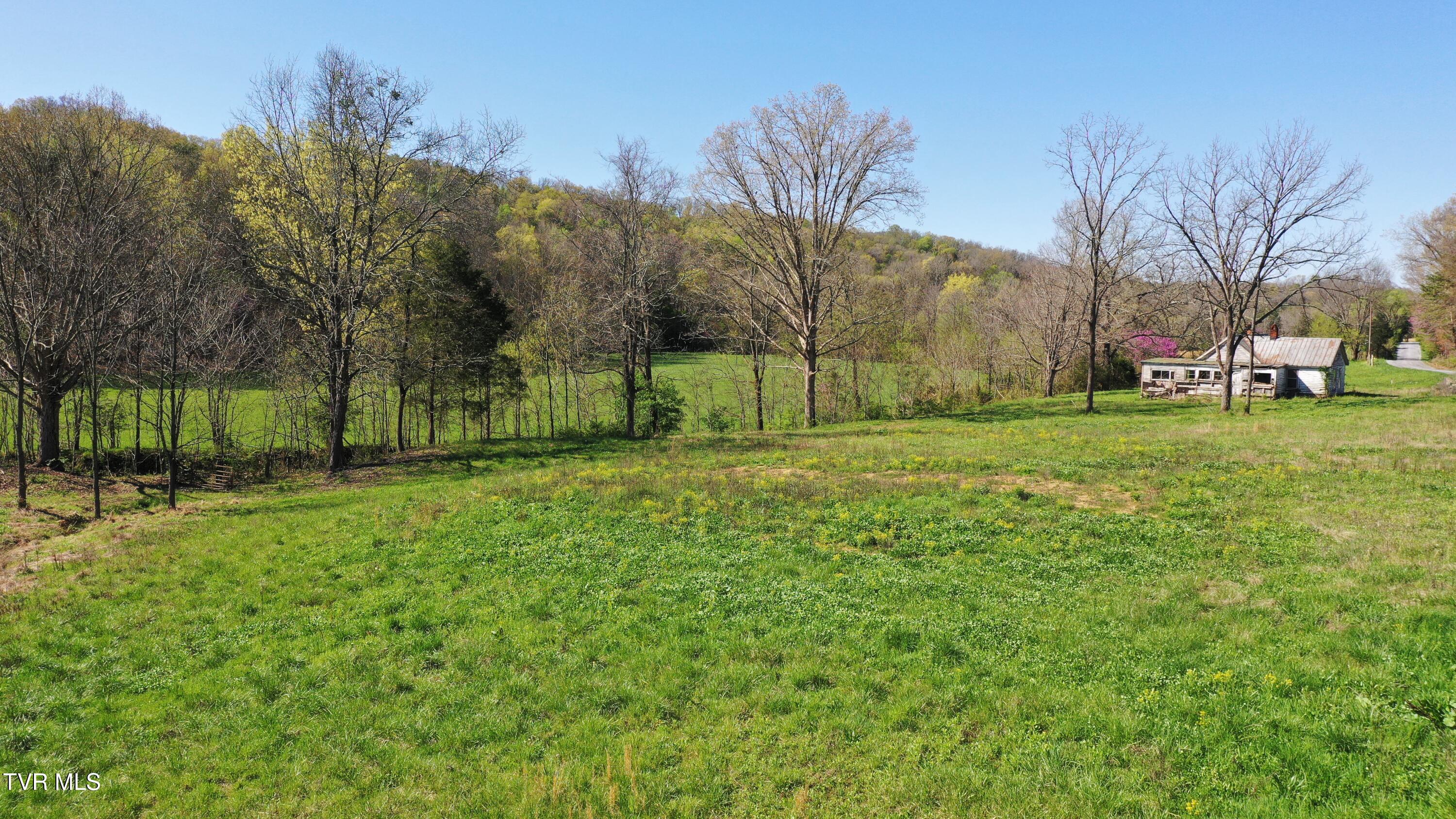 Vfw Road, Bulls Gap, Tennessee image 3