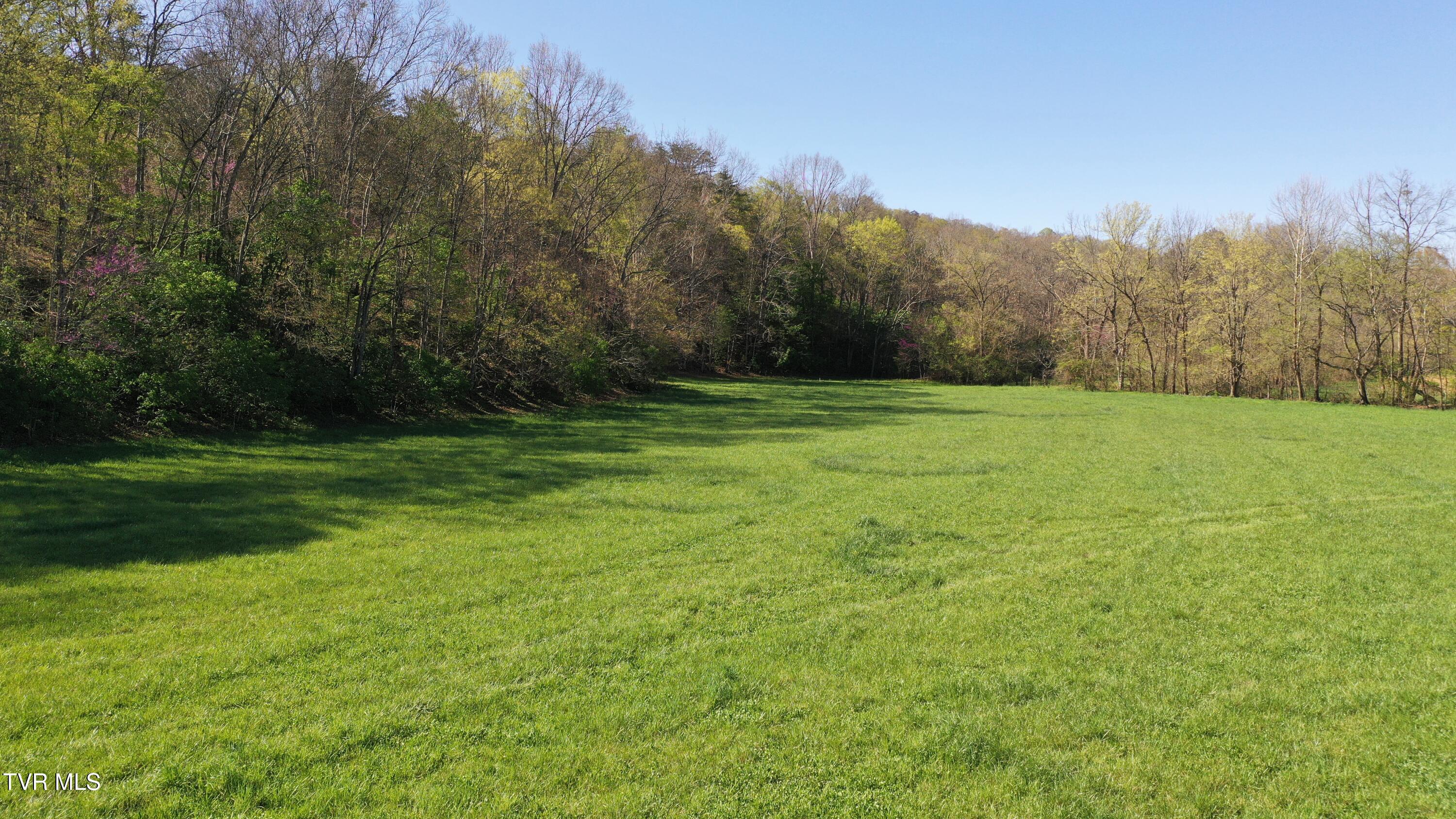 Vfw Road, Bulls Gap, Tennessee image 20