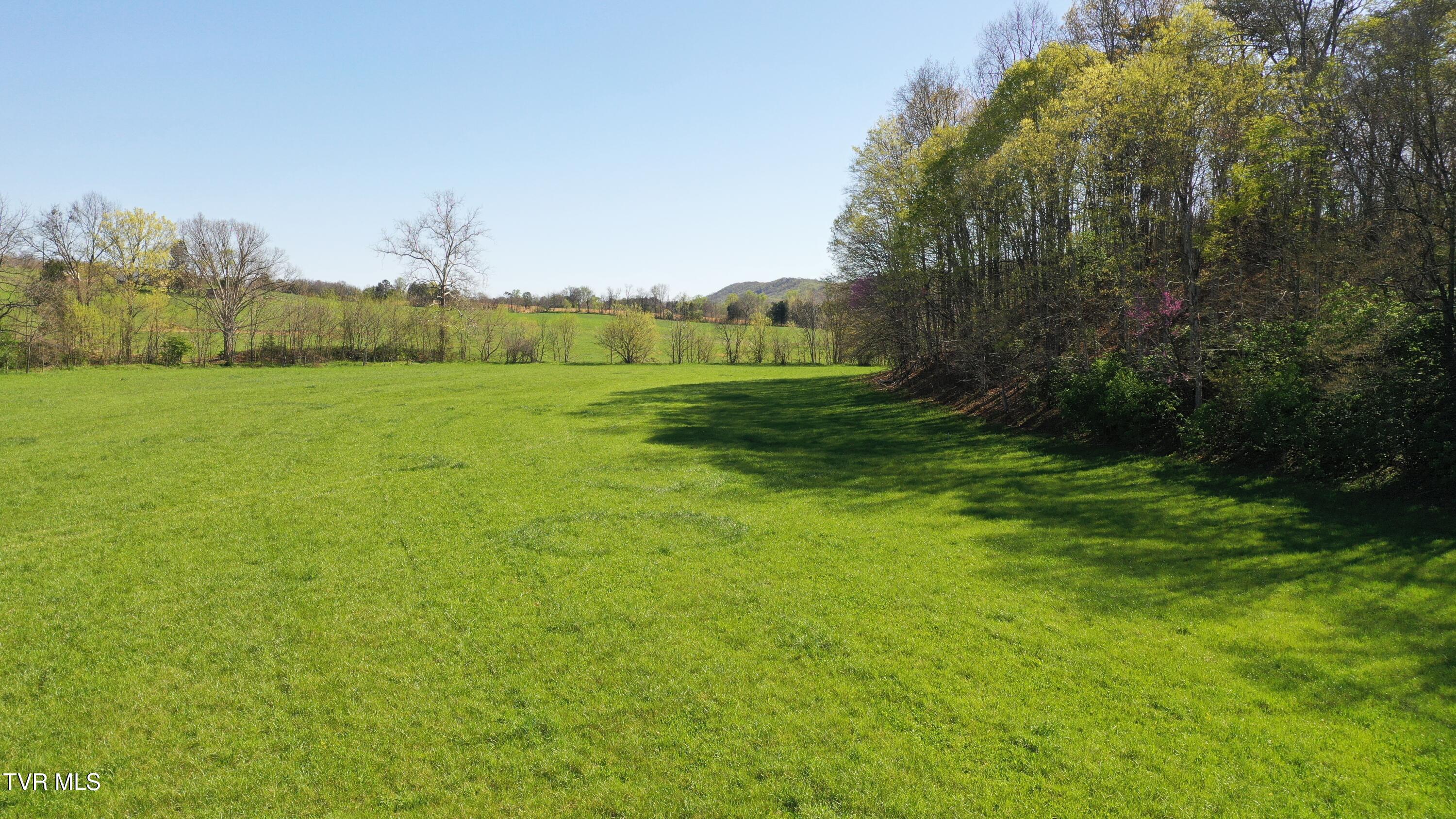 Vfw Road, Bulls Gap, Tennessee image 25