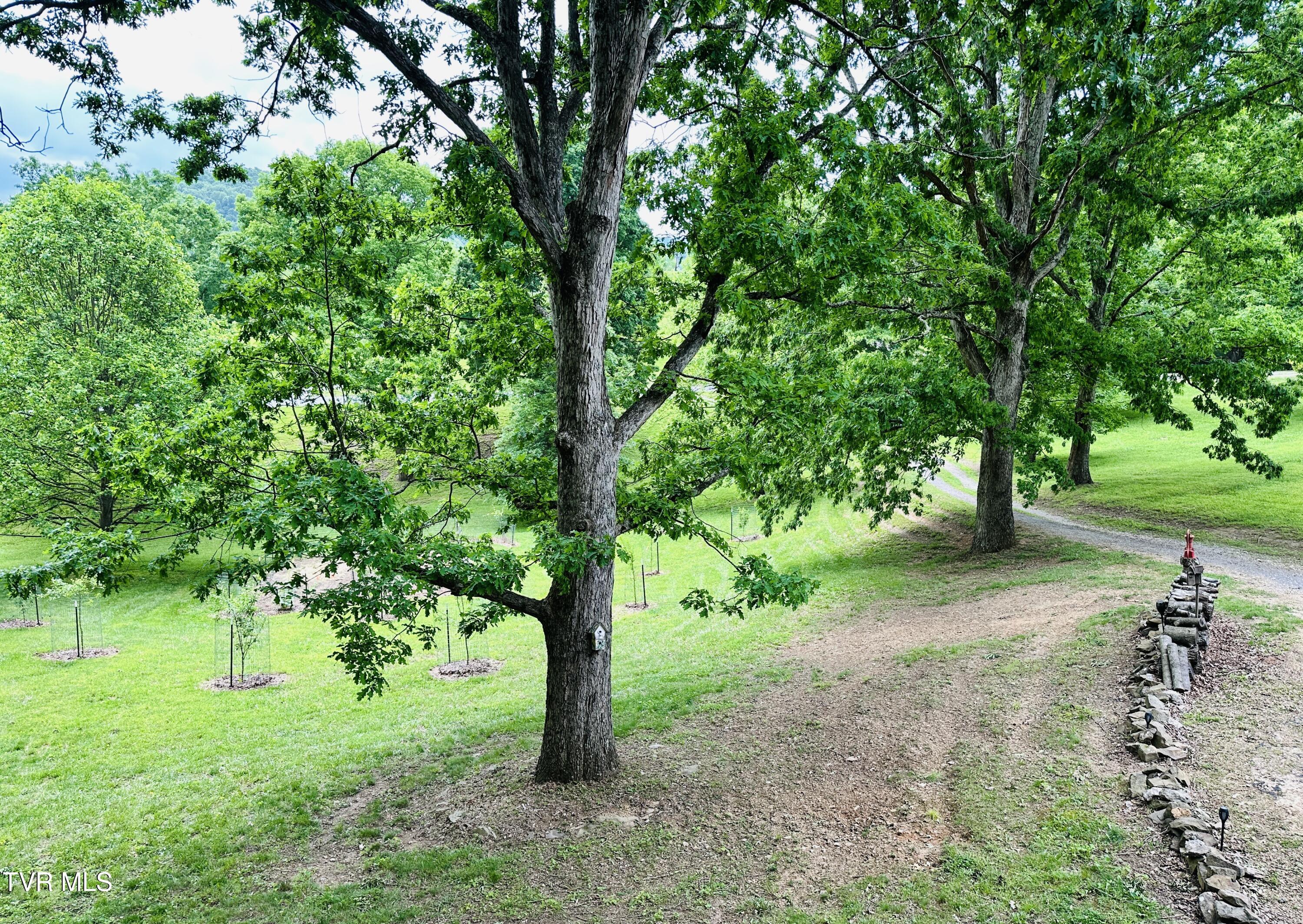 408 Glade Hill Drive, Lebanon, Virginia image 25