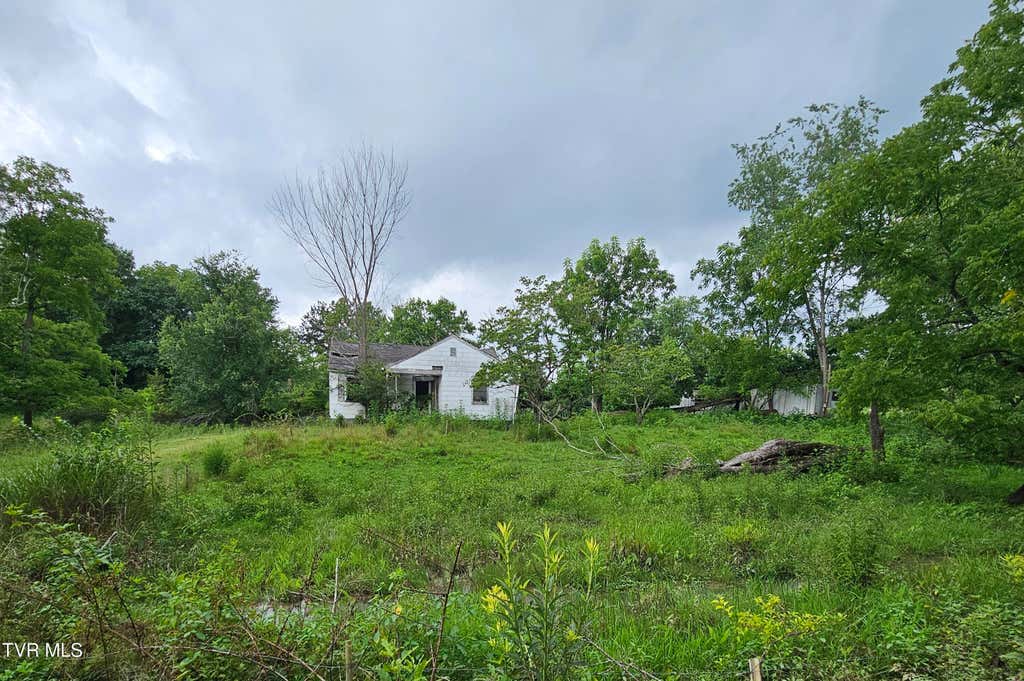Photo of 444 Bullock Hollow Road, Bristol, TN 37620 (MLS # 9998599)