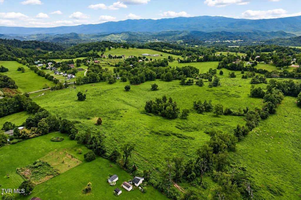 Photo of 444 Bullock Hollow Road, Bristol, TN 37620 (MLS # 9998599)