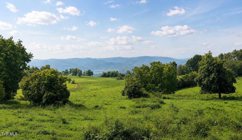 Photo of 444 Bullock Hollow Road, Bristol, TN 37620 (MLS # 9998599)