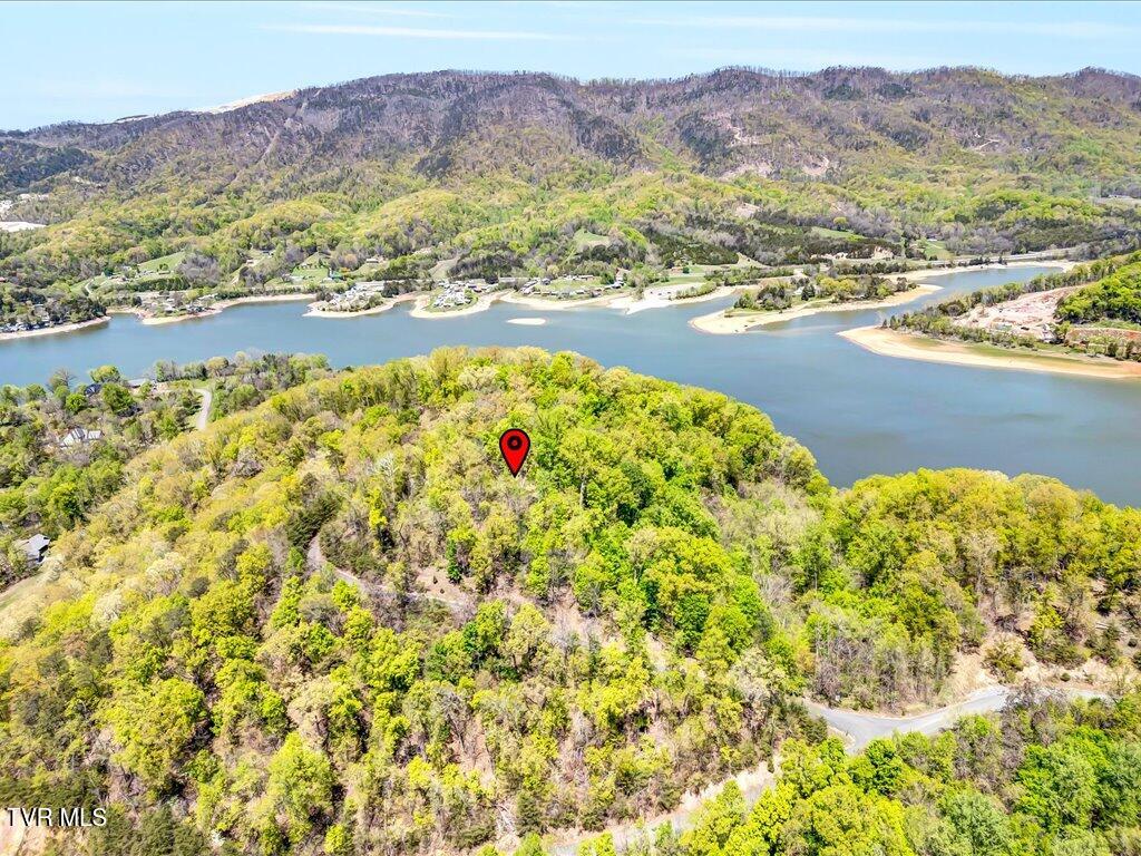 Lot 49 Hickory Knoll Circle, Whitesburg, Tennessee image 11